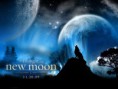 /album/new-moon/image-14-jpeg/
